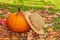 6 rolls 30 yards of fall ribbons, autumn harvest ribbons, wave polyester satin ribbon. Thanksgiving Pumpkin Maple Leaf Orange Ribbon 3/8" Wide for Gift Wrapping DIY Projects Fall Thanksgiving Decor